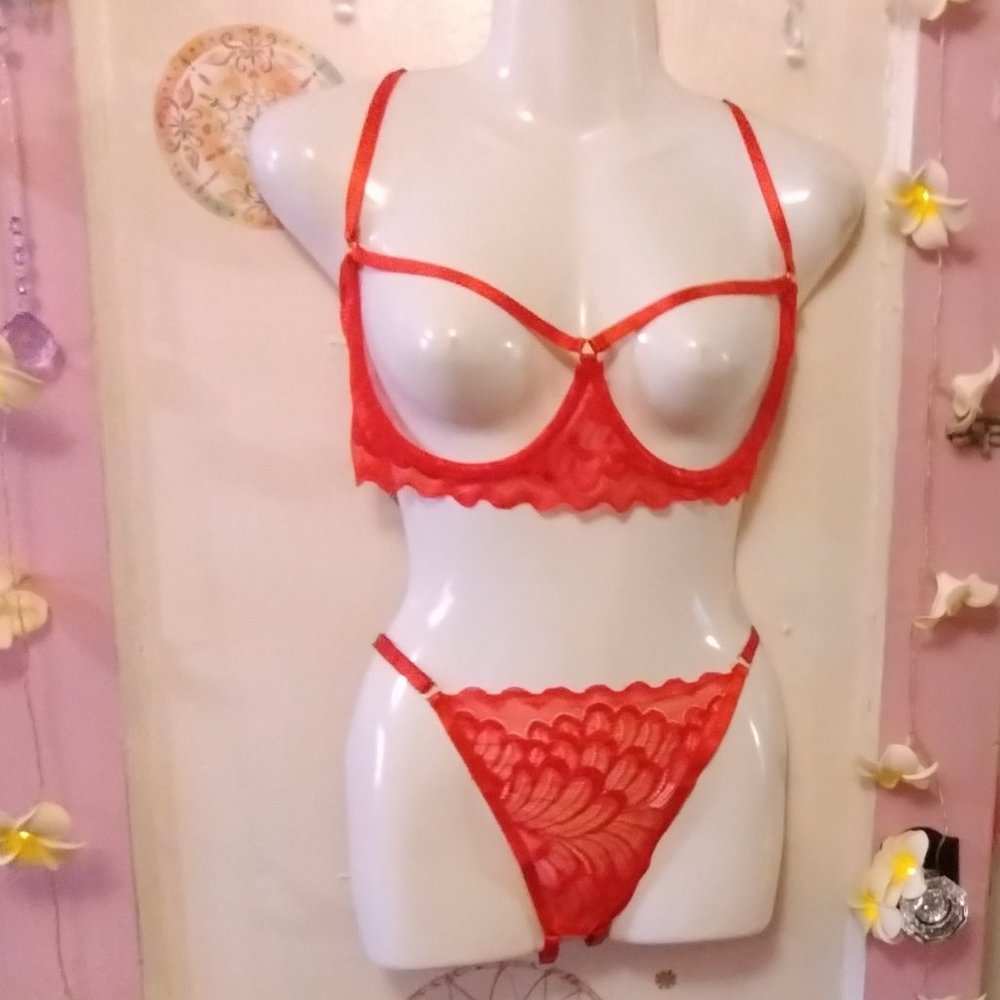 Peekaboo (2XL) Caged Underwire Lace Lingerie Set - NWOT